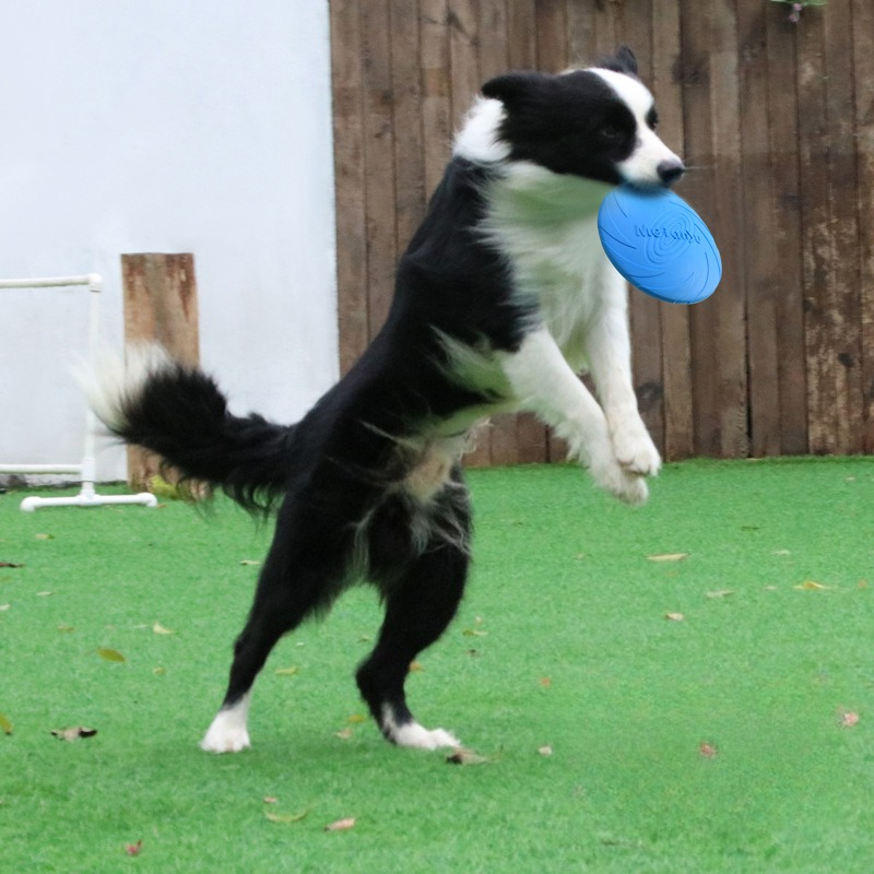 Frisbee Freestyle Disc - Hunde-Frisbee, spezielles Frisbee für Hunde mit