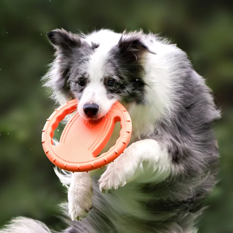 Frisbee Freestyle Disc - Langlebiges Hunde-Flugscheiben-Spielzeug Haustier-Trainingsspielzeug Kau-Resistente Outdoor-Frisbee für