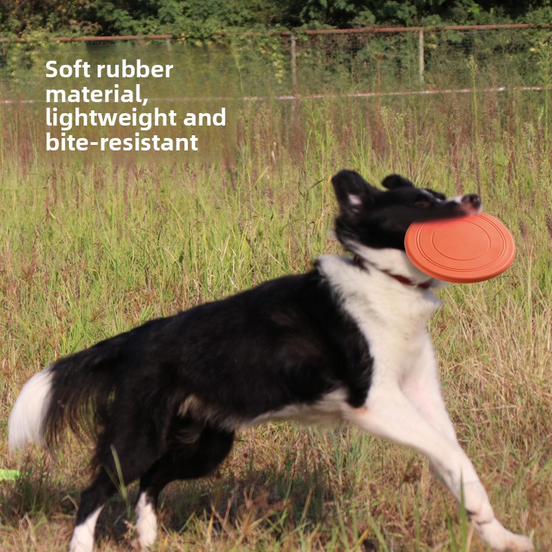 Weiche Fliegende Hundespielzeu – Frisbee Freestyle Disc Bewertung und Preis