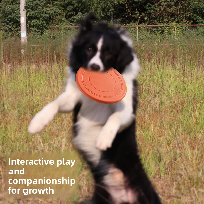 Weiche Fliegende Hundespielzeu – Frisbee Freestyle Disc Bewertung und Preis