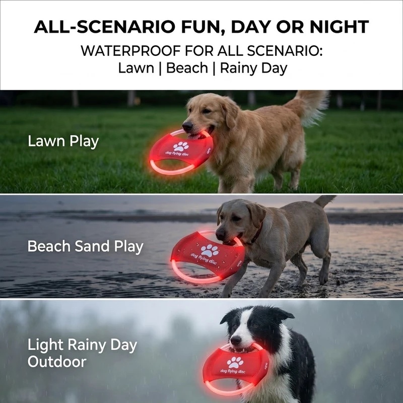 LED-Leucht-Hundefrisbee, USB-w – Frisbee Freestyle Disc Bewertung und Preis