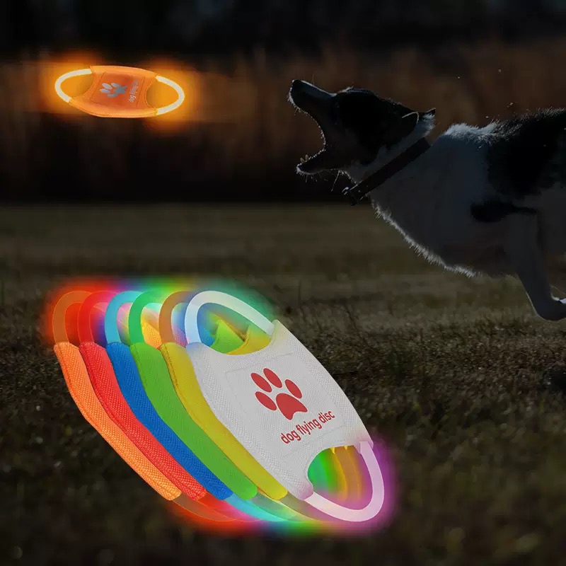LED-Leucht-Hundefrisbee, USB-w – Frisbee Freestyle Disc Bewertung und Preis