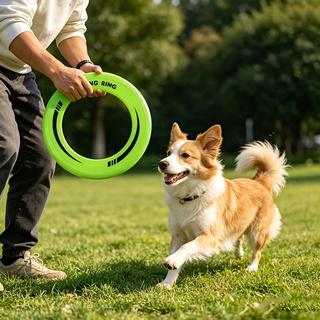 1 Stück langlebige, hohle Ring – Frisbee Freestyle Disc Bewertung und Preis