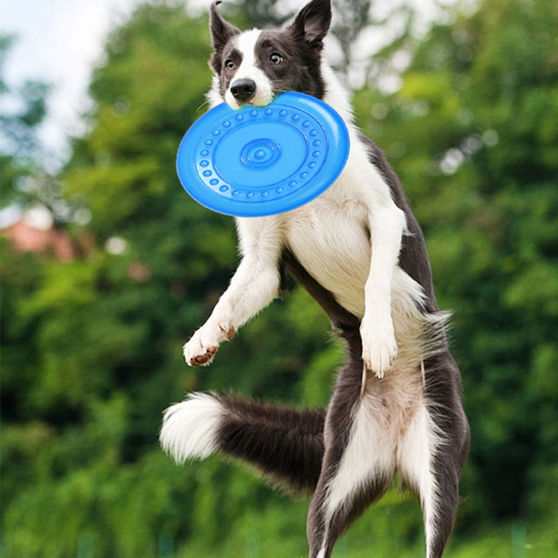 Langlebiges, kaubares Haustier – Frisbee Freestyle Disc Bewertung und Preis