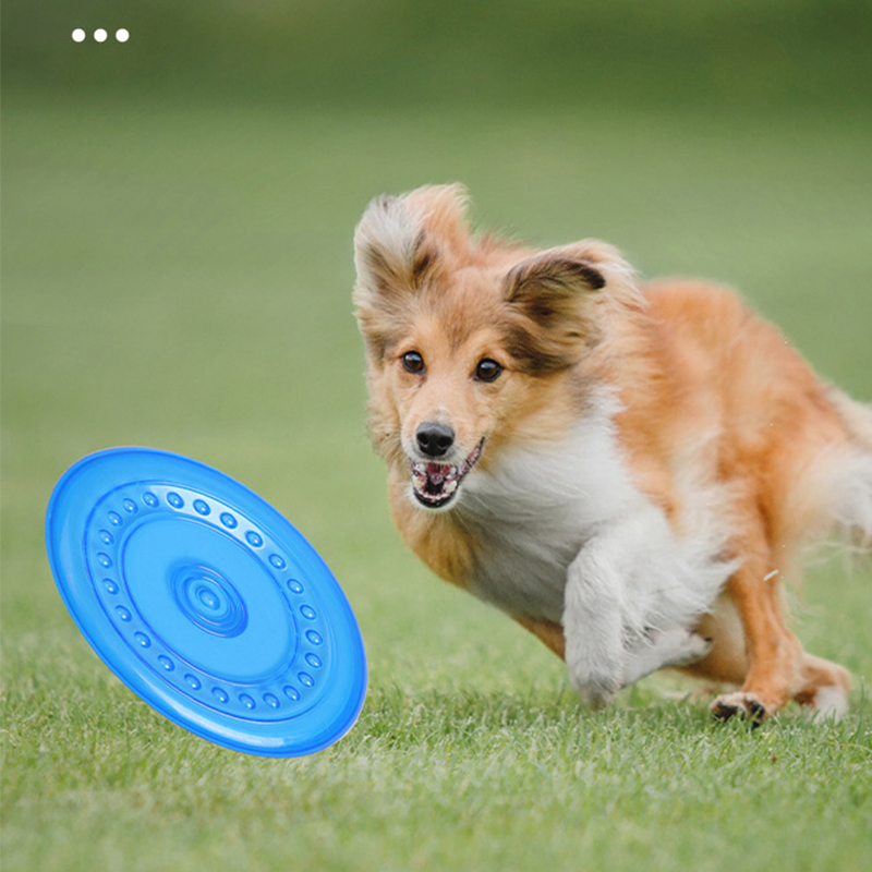 Langlebiges, kaubares Haustier – Frisbee Freestyle Disc Bewertung und Preis